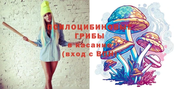 дмт Армянск