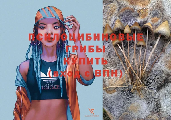 гашиш Аркадак