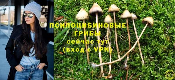гашиш Аркадак