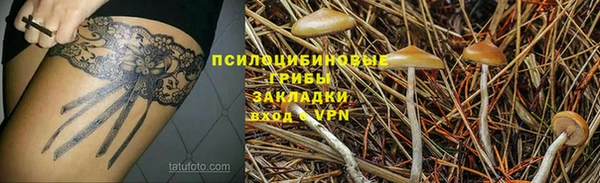 дмт Армянск