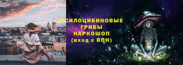 прущая мука Арсеньев