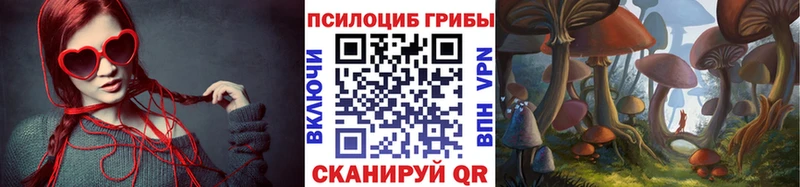 Купить закладки  Поронайск  Галлюциногенные грибы Psilocybine cubensis 